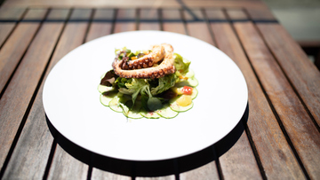 Oktopus Delikatesse